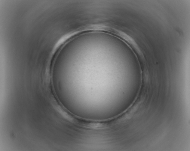 X0000114021176200910091407