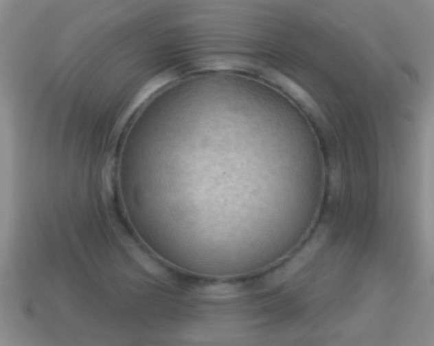 X0000114021178200910091407