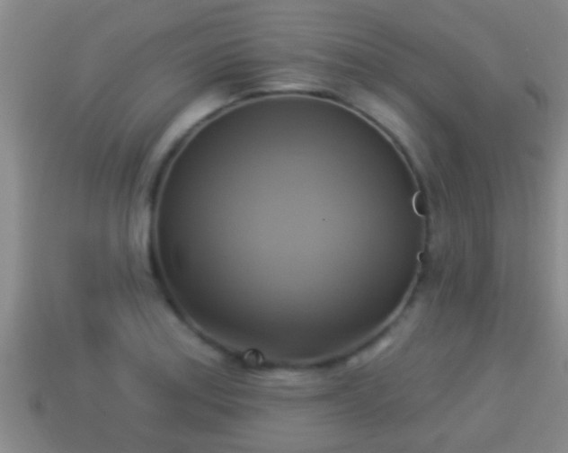 X0000114021179200910091407
