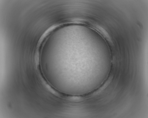 X0000114021180200910091407