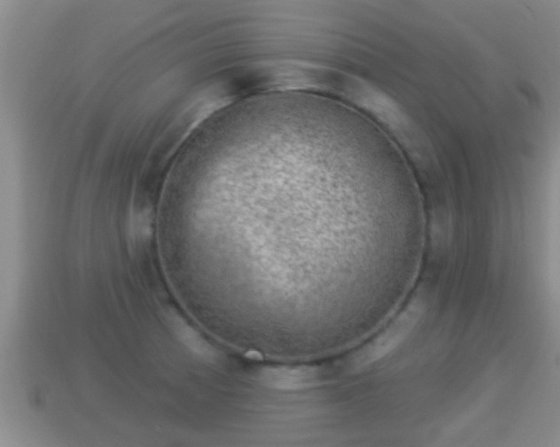 X0000114021185200910091407