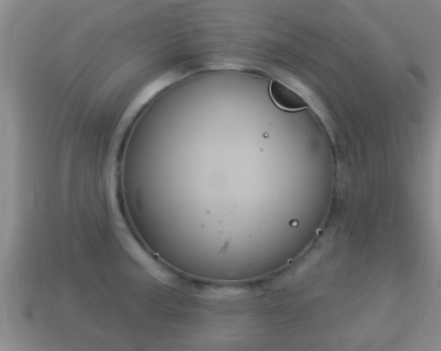 X0000114021187200910091407