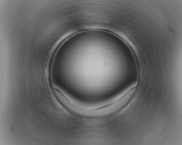 X0000114021189200910091407