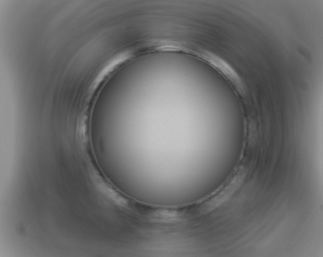 X0000114021190200910091407