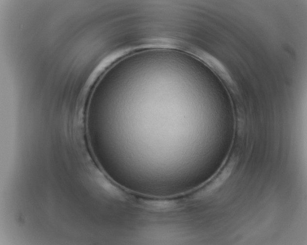 X0000114021192200910091407