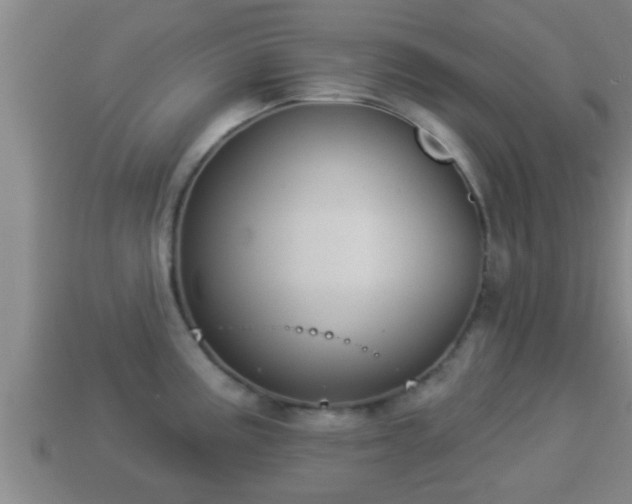 X0000114021195200910091407