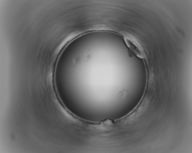 X0000114021197200910091407