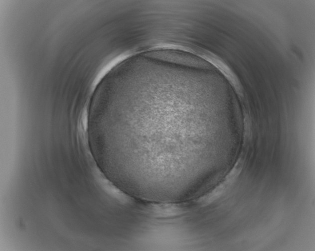 X0000114021198200910091407