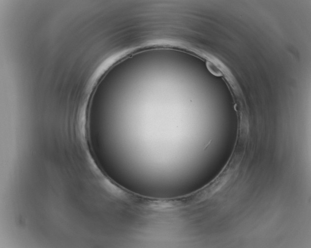 X0000114021199200910091407
