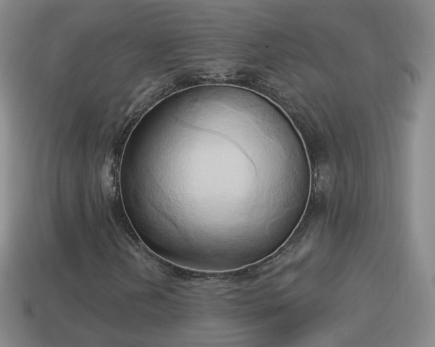 X0000114021202200910091406