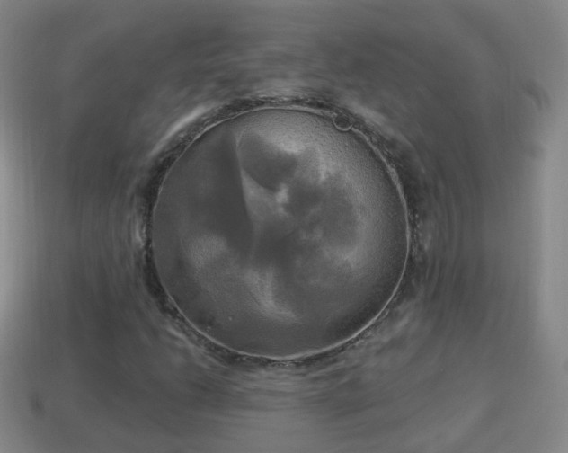 X0000114021206200910091406