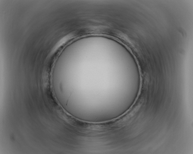 X0000114021211200910091406