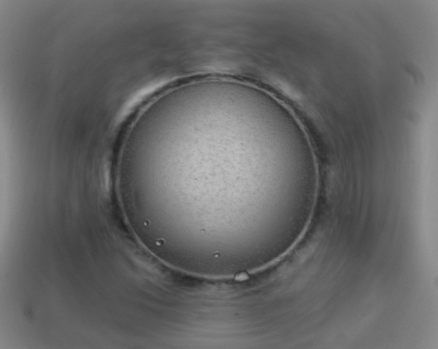 X0000114021214200910091406