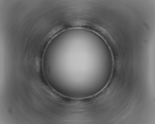 X0000114021217200910091406