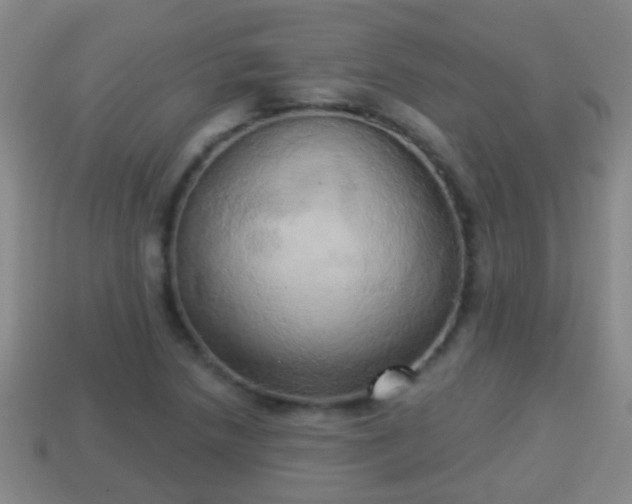 X0000114021218200910091406