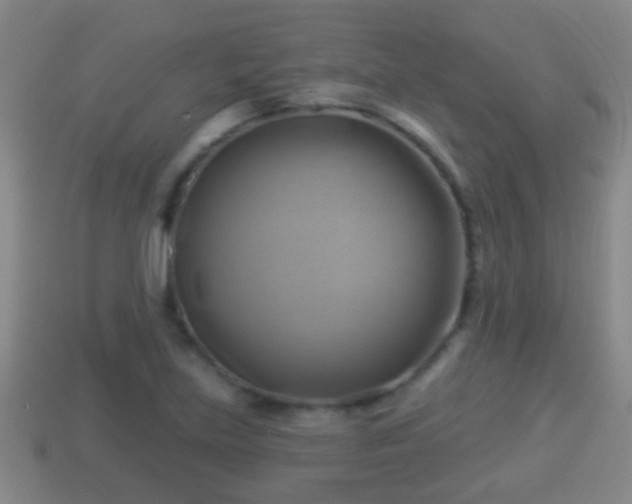 X0000114021219200910091406