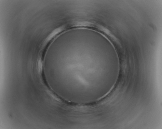 X0000114021221200910091406