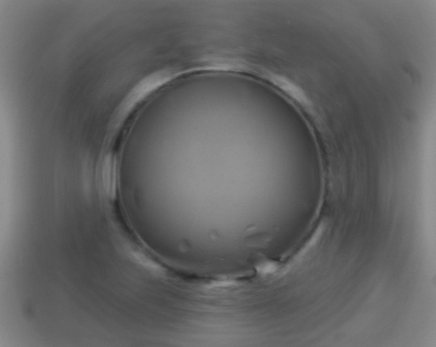 X0000114021223200910091406