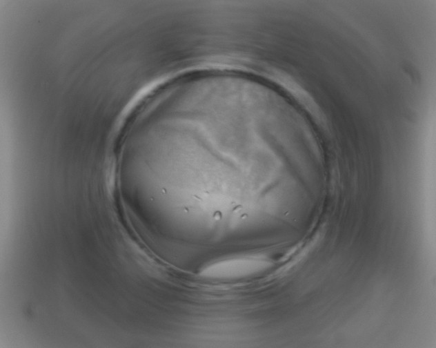 X0000114021224200910091406