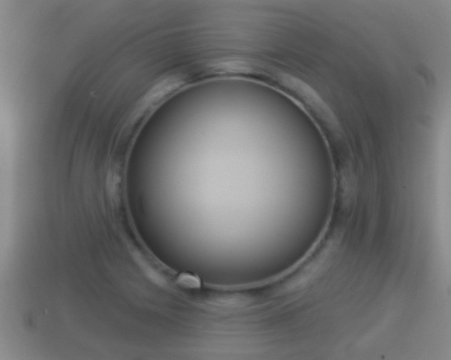 X0000114021225200910091406