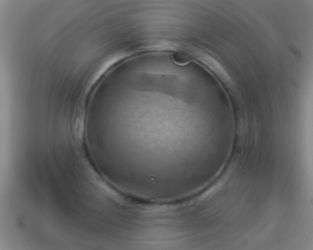 X0000114021228200910091406