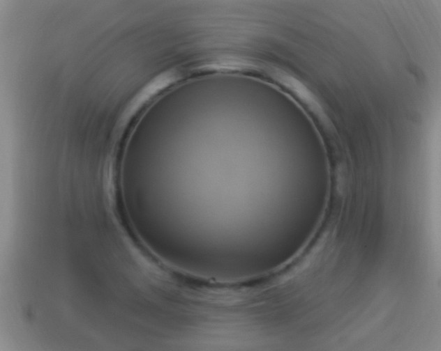 X0000114021229200910091406