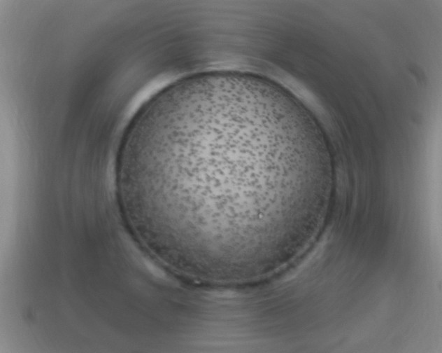 X0000114021230200910091406