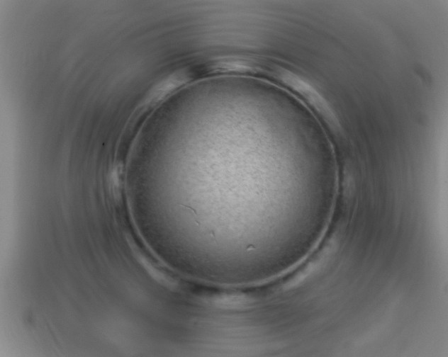 X0000114021233200910091407