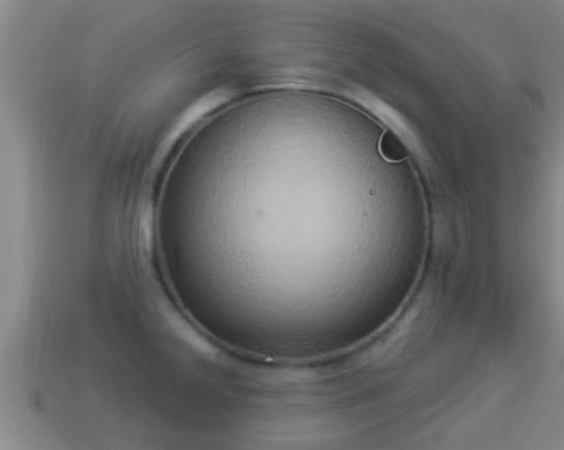X0000114021238200910091407