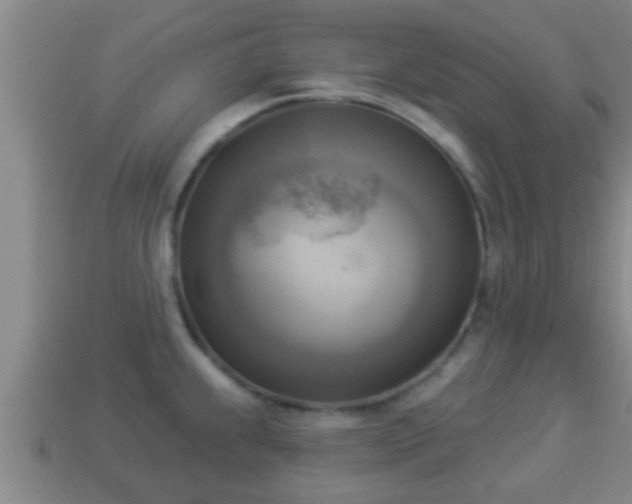 X0000114021239200910091407
