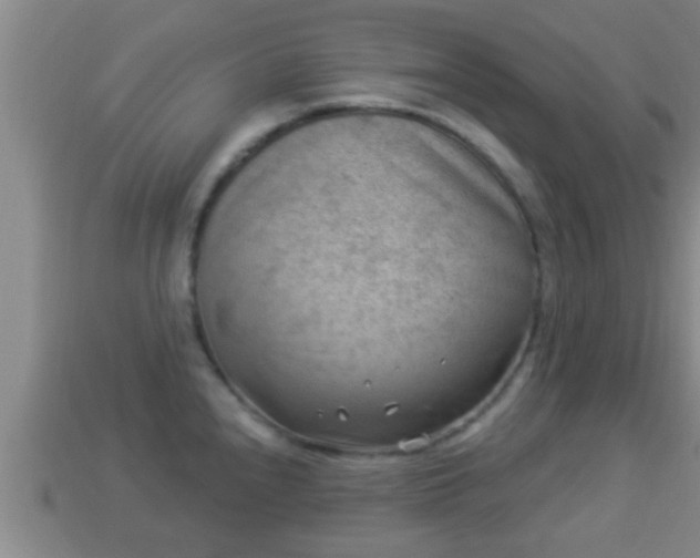 X0000114021240200910091407
