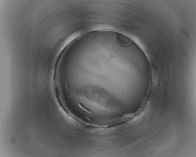 X0000114021245200910091407