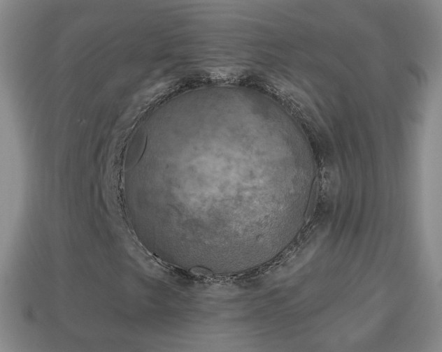 X0000114021249200910091406