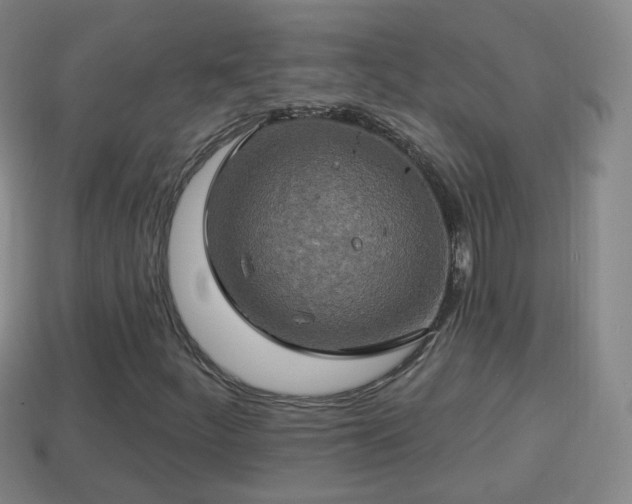 X0000114021252200910091406