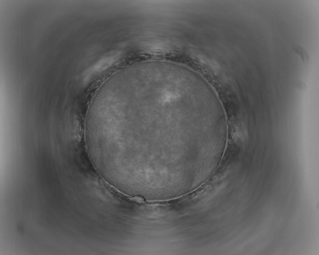 X0000114021253200910091406