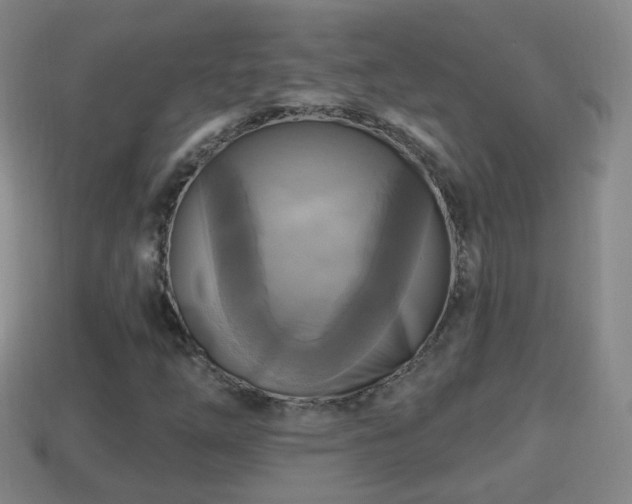 X0000114021254200910091406