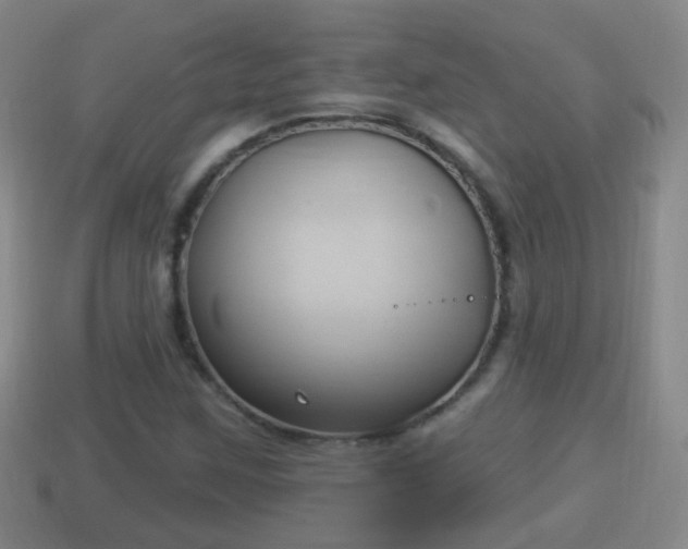 X0000114021259200910091406