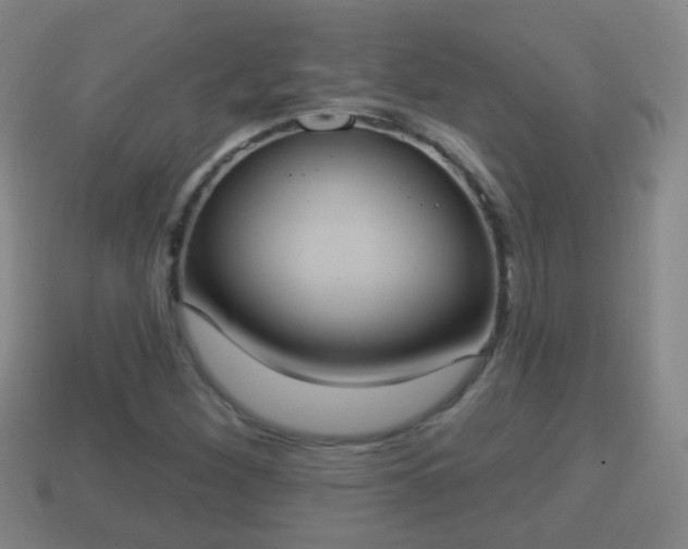 X0000114021260200910091406
