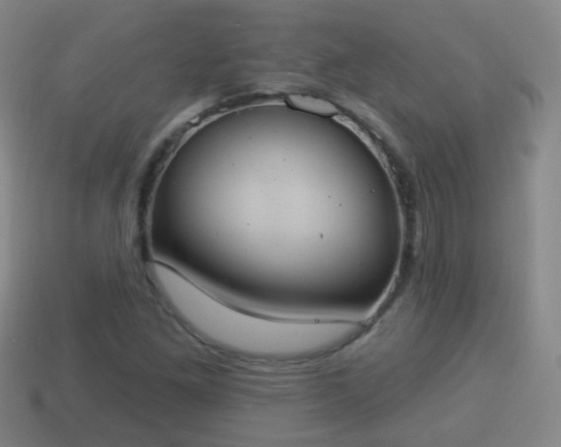 X0000114021261200910091406