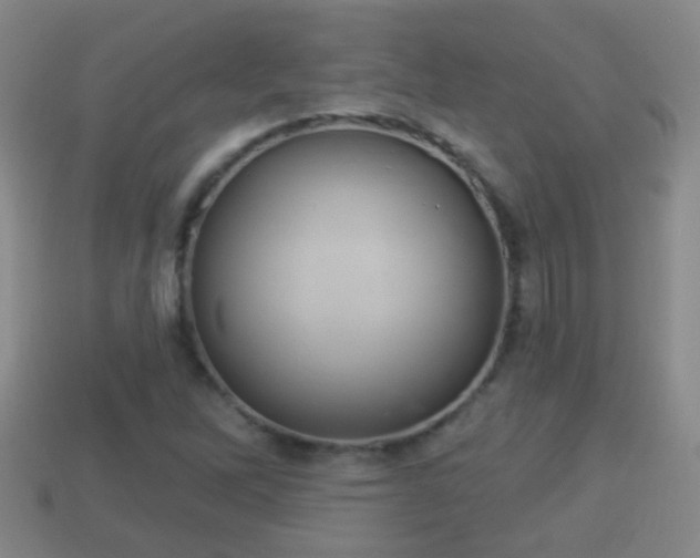 X0000114021262200910091406
