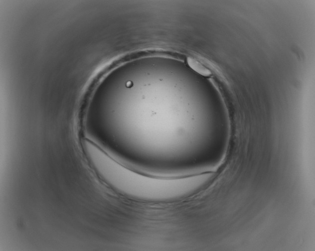 X0000114021264200910091406