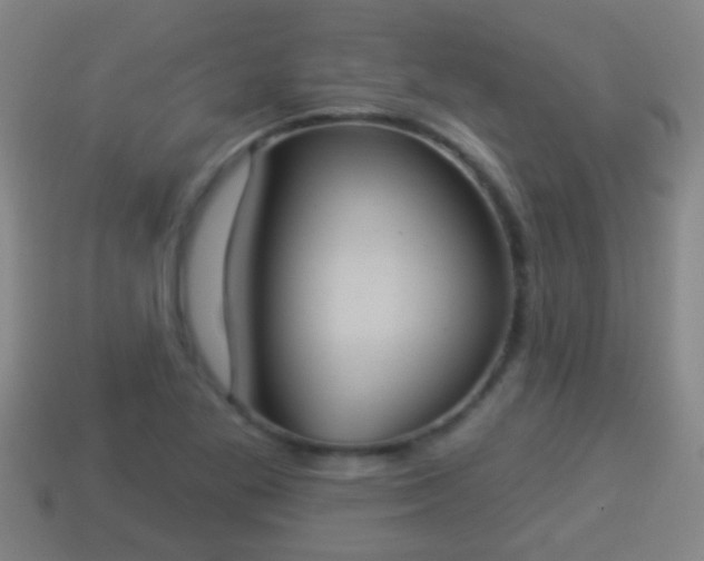 X0000114021269200910091406