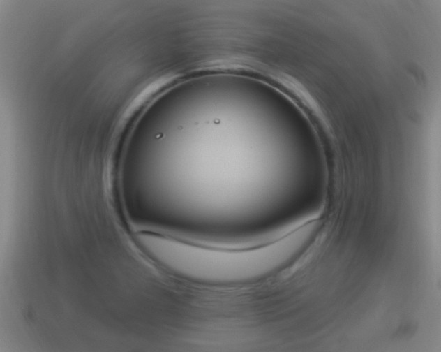 X0000114021277200910091406