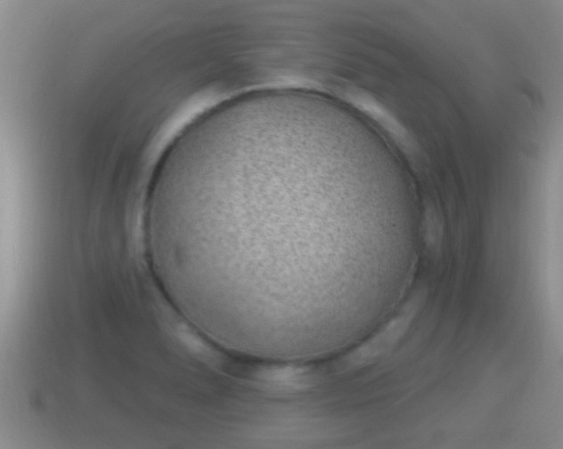 X0000114021278200910091406
