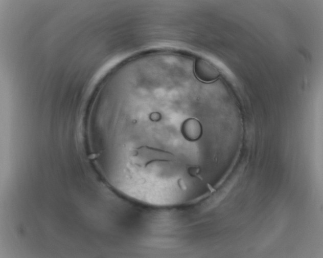 X0000114021279200910091406