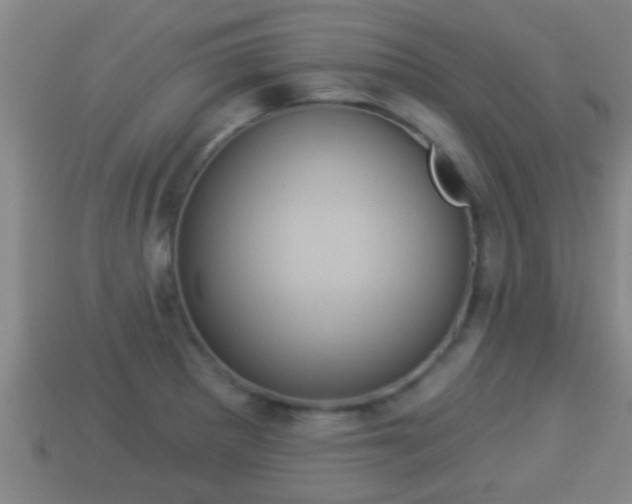 X0000114021281200910091406