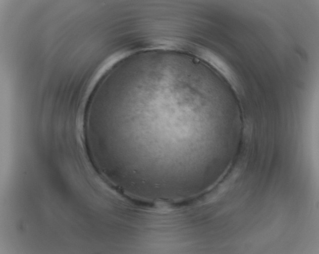 X0000114021283200910091406