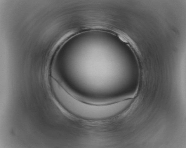 X0000114021285200910091406