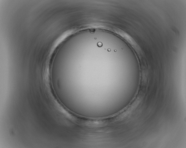 X0000114021286200910091406
