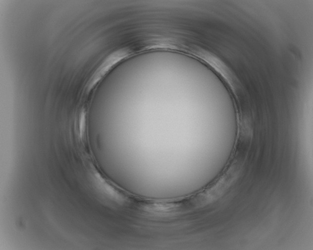 X0000114021290200910091406